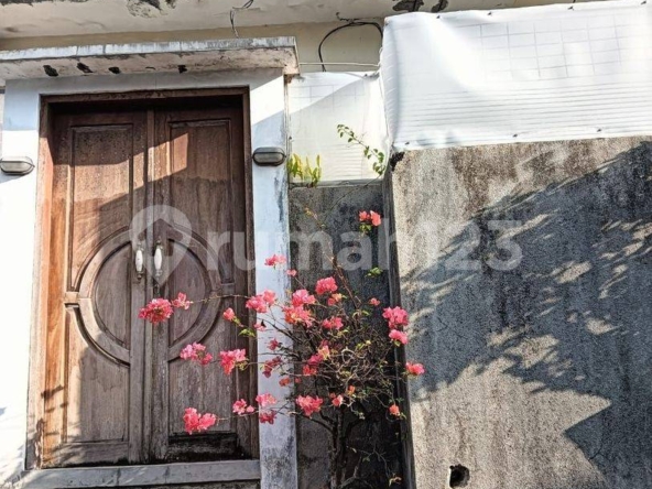 Charming 3-Bedroom Villa for Long-Term Rental in Tranquil Padonan, Canggu