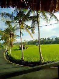 Batu Belig Luxury Villa For Sale in Bali : Luxury Villa Secure & Comfortable